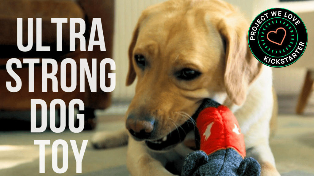 CHEEKY | The strongest and safest dog toy !