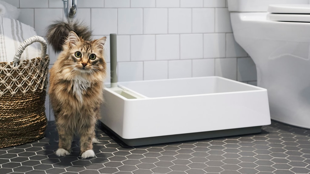 Cove: The Modern Litter Box