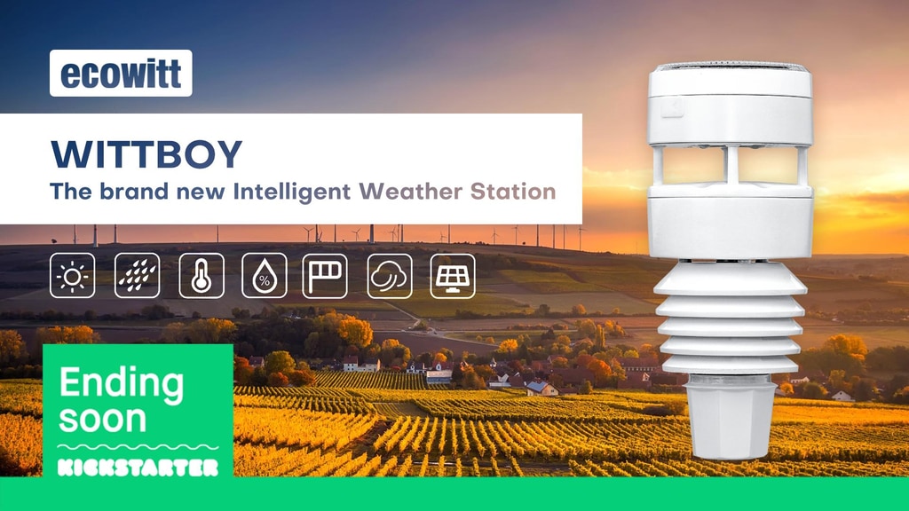 WittBoy : The All-in-one Intelligent Weather Station