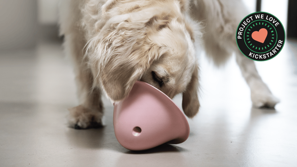 Bowly | The joy of play with the reward of a treat