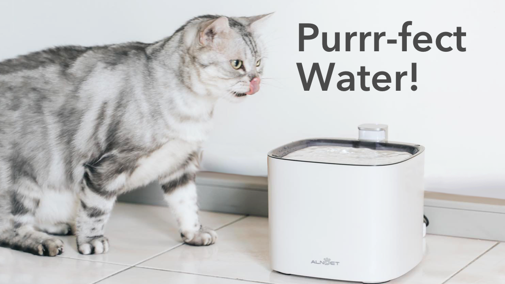 ALNPET+ | Make Your Pets Fall In Love With Drinking Water