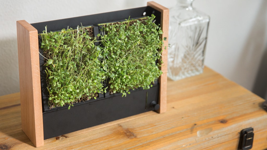 EcoQube Frame: BEST vertical garden for veggies & succulents