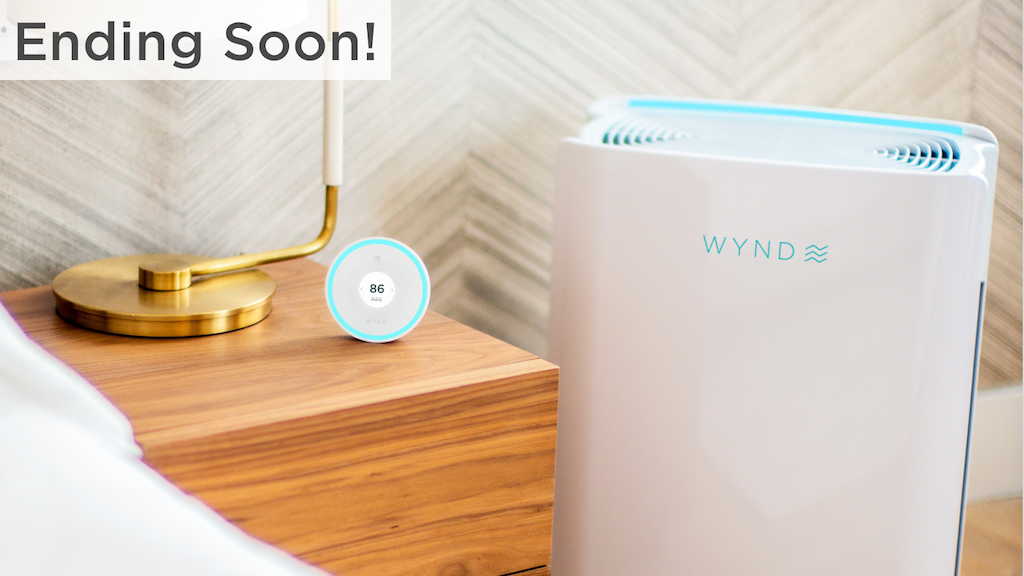 Wynd Halo + Home Purifier: Keep your home’s air healthy