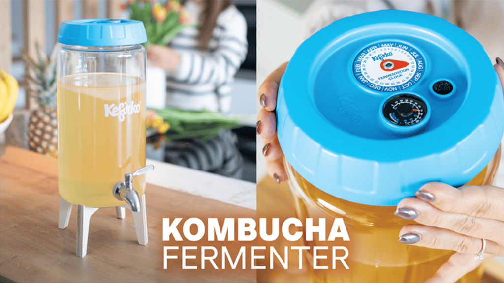 KOMBUCHA FERMENTER by KEFIRKO - Simple and efficient brewing