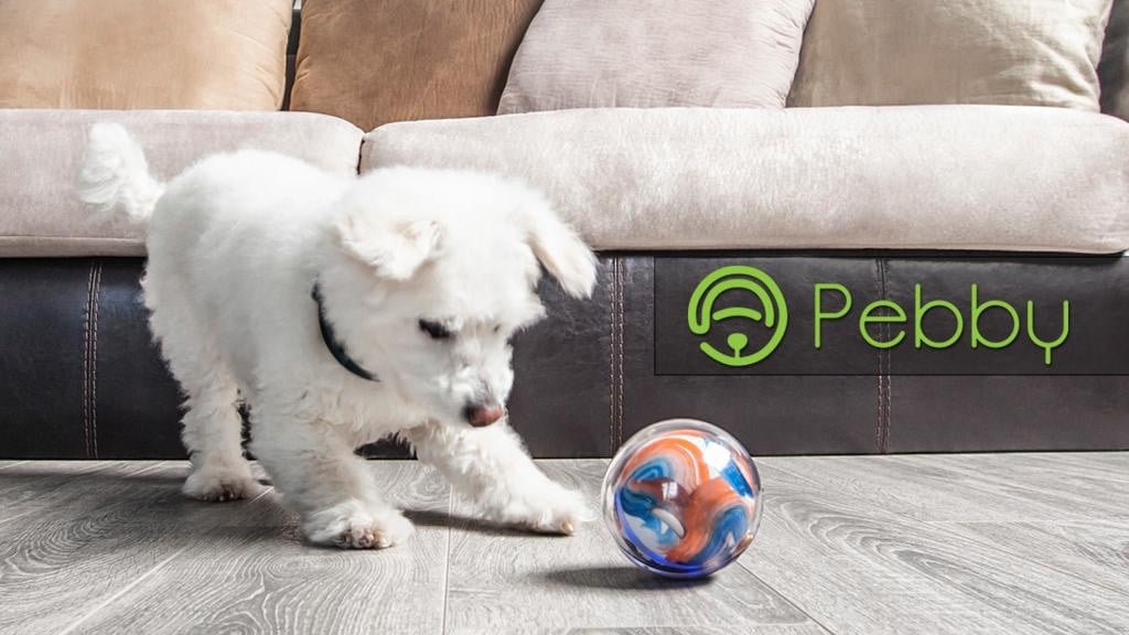 Pebby: The Most Advanced Smart Ball! Play Anytime
