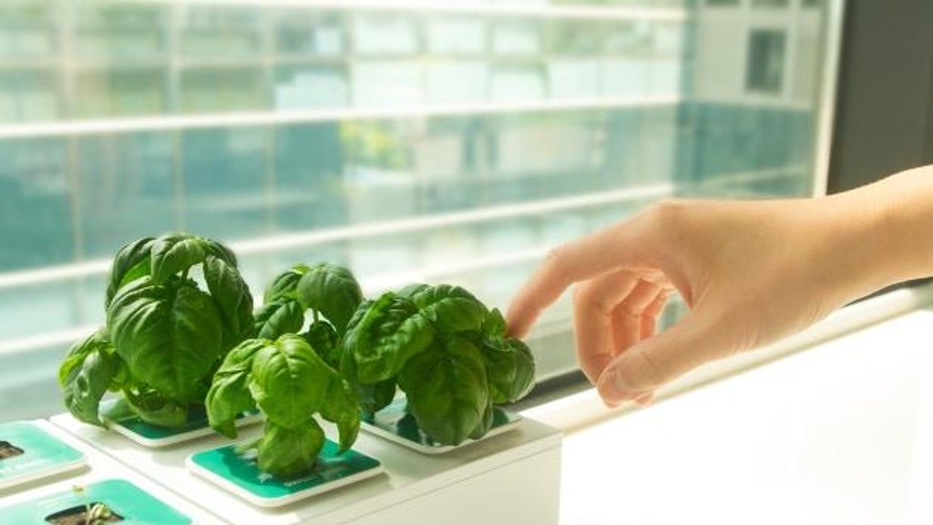 Grow Edible Greens Fast & Effortlessly w/ this simple Kit!
