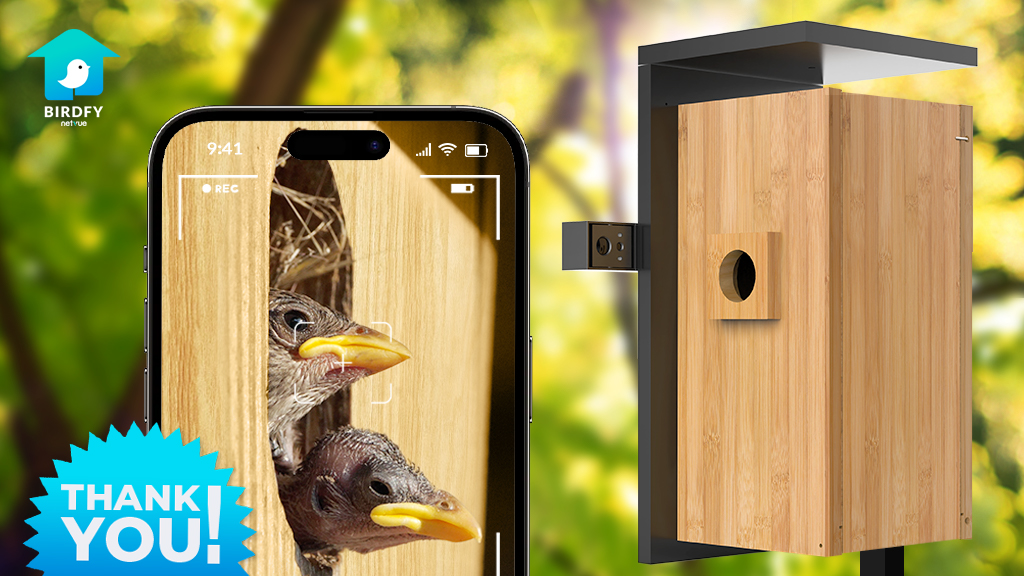 Birdfy Nest: A Dual-Camera Smart Bird House