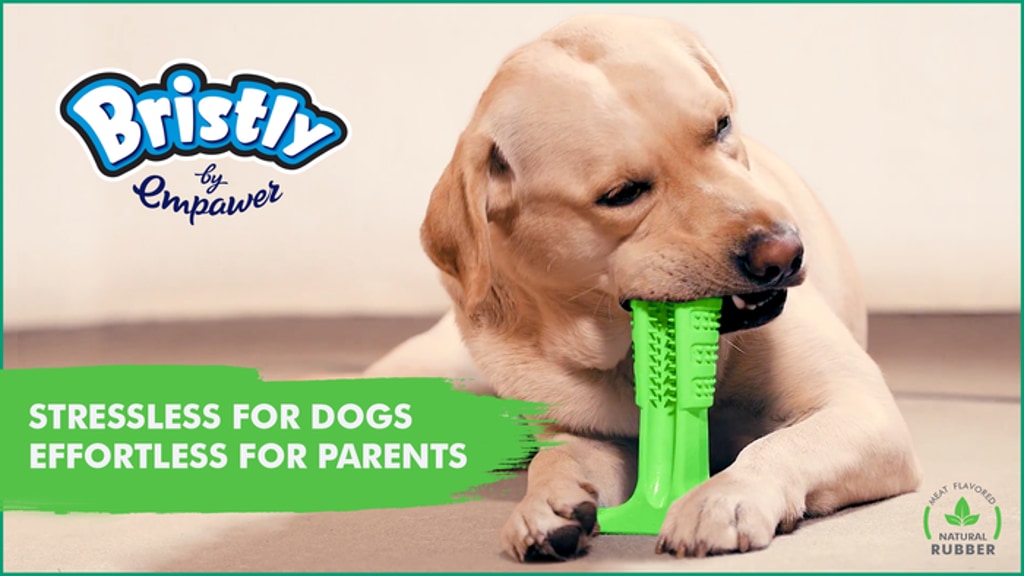 Bristly - World's Most Effective Toothbrush for Dogs