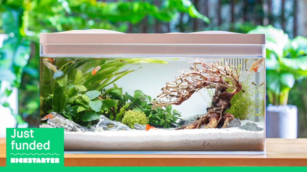 Harmony: Elegant Aquatic Tank That Requires Minimal Upkeep