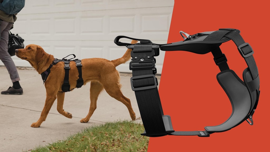 The Ultimate Dog Harness - Ascension™
