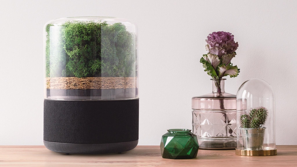 Unlock The Power Of Plants With The Briiv Air Filter