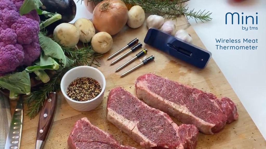 Mini by TMS - Wireless Meat Thermometer