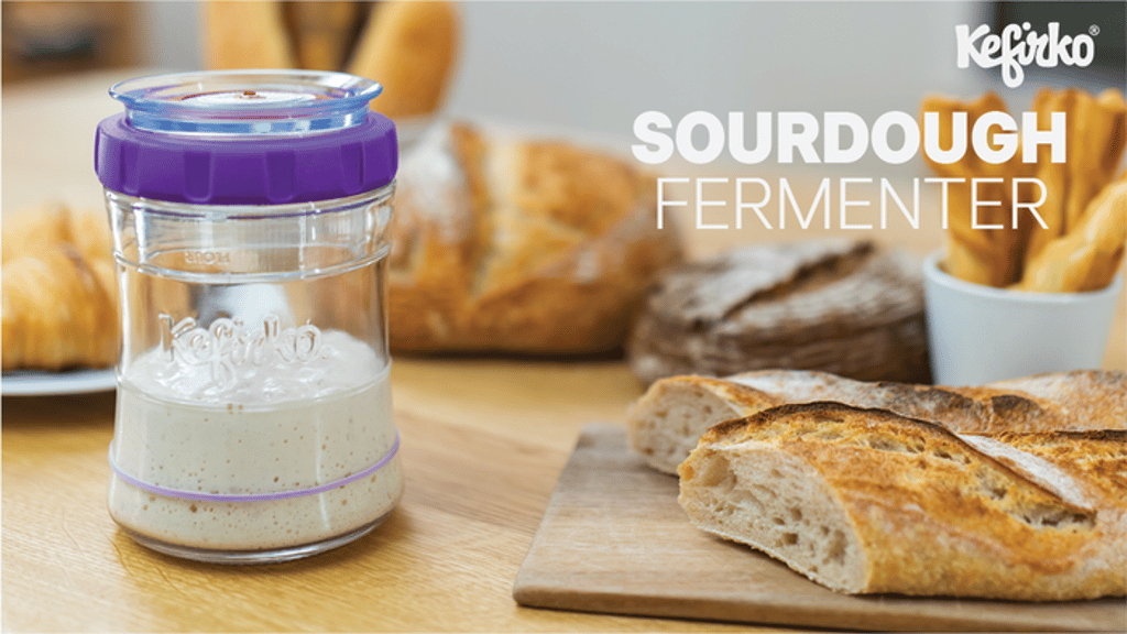 SOURDOUGH FERMENTER