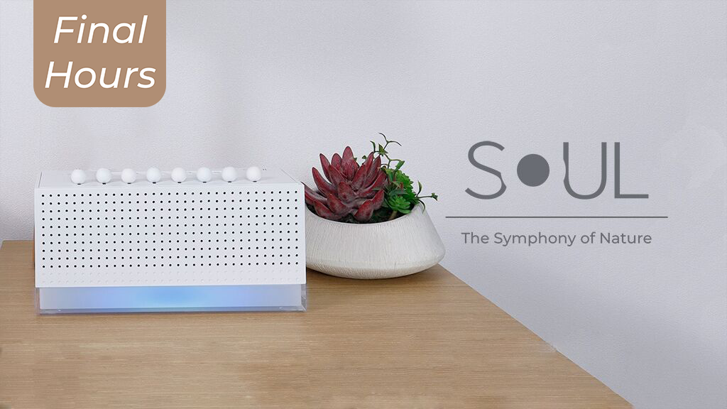 SOUL- The Symphony of Nature