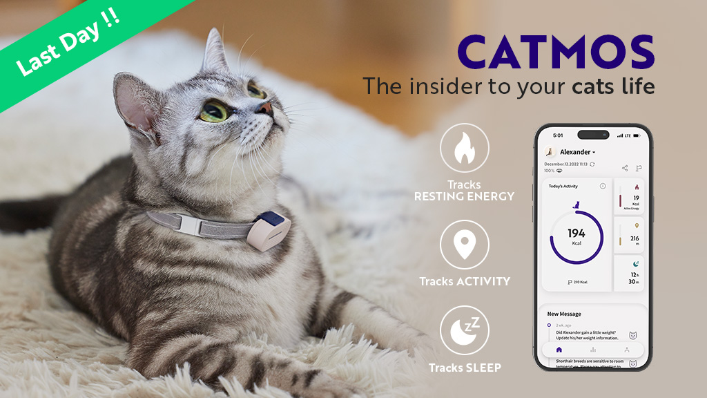 Catmos - The Smart Cat Collar