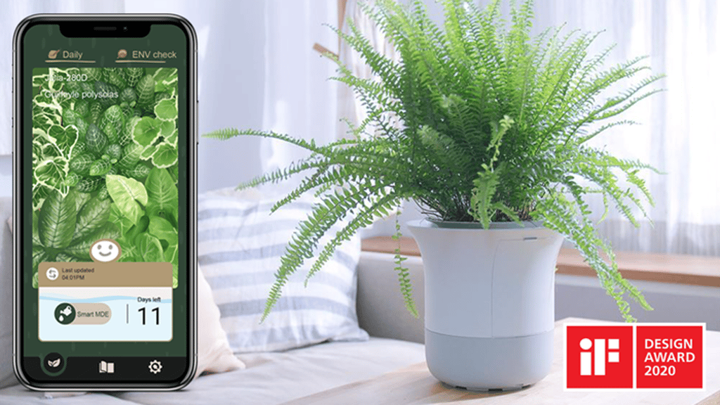 Wázai｜World’s Smartest Bonsai Ever