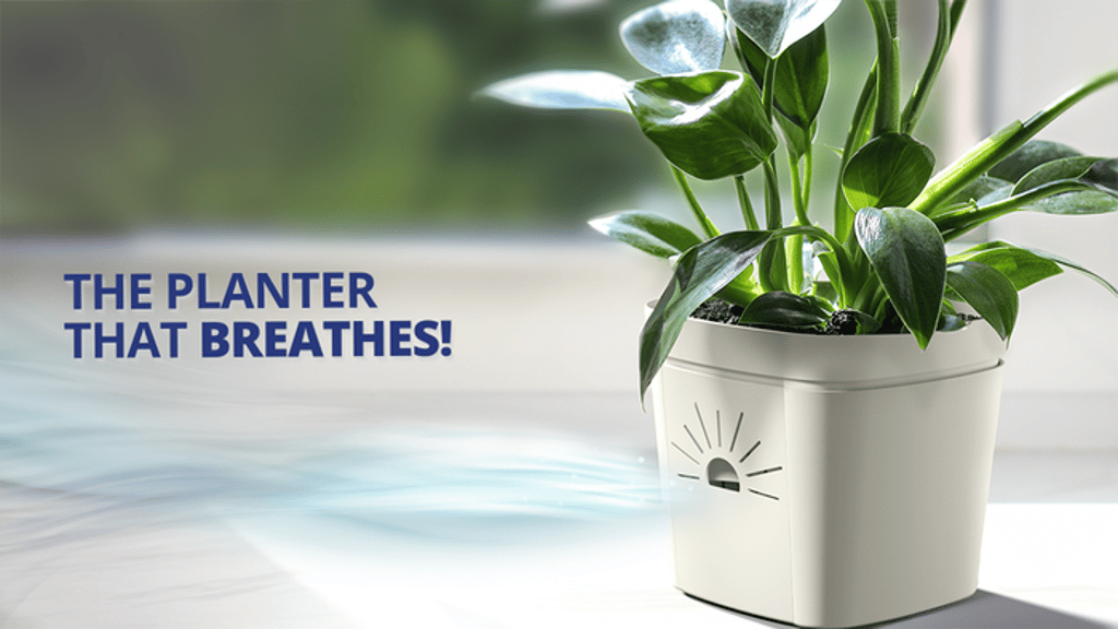 Naked Root Planter: When Roots Breathe