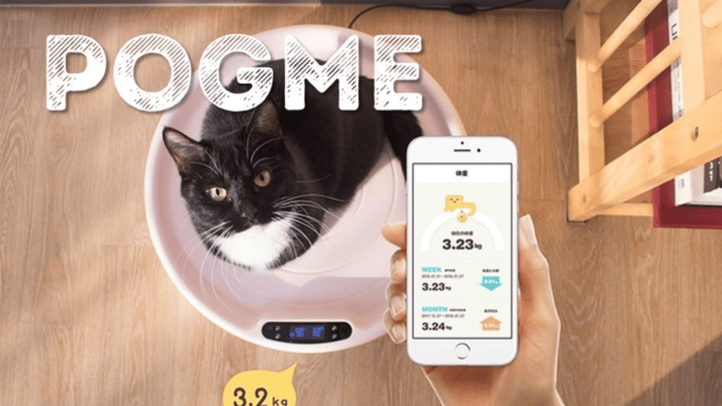 Pogme: Smart scale that keeps your cat& dog warm and healthy