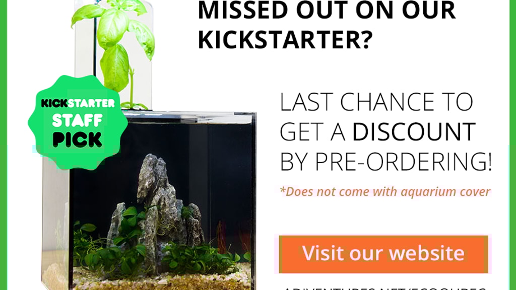 EcoQube C- Your Window to Nature!