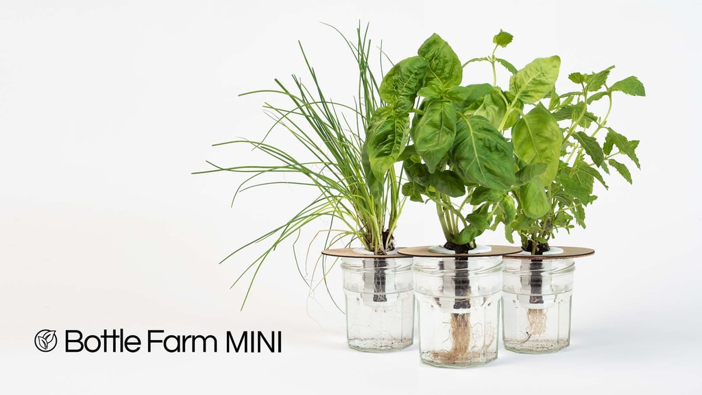 Mini: Grow fresh food anywhere