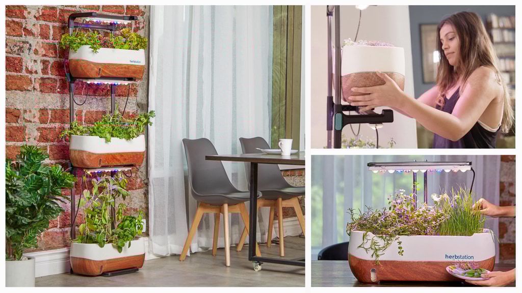 Herbstation: The easiest way to grow at home.