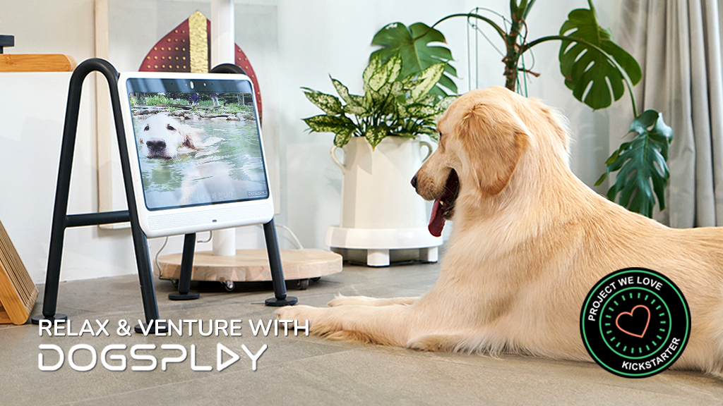 DOGSPLAY: TV