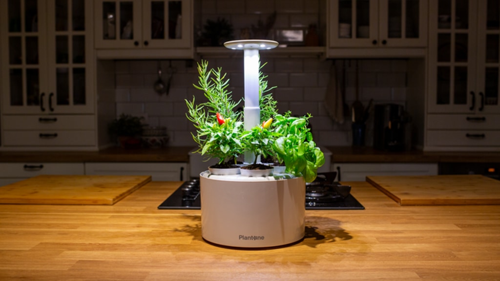 Plantone 2.0: Unleash Your Green Thumb