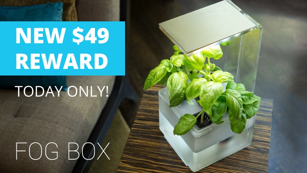 FogBox - Beautiful Hand-Made Living Decor