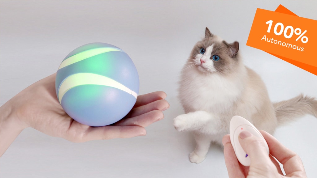 Luerpci: Smart & Interactive Ball That Plays With Your Pet