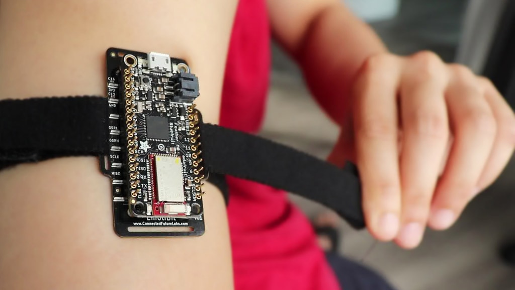 EmotiBit: Wearable biometric sensing for any project!