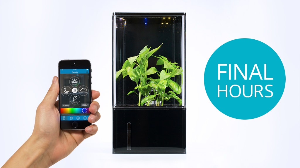 EcoQube Air - The World's First Desktop Greenhouse