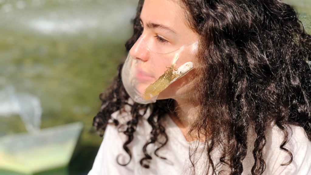 A RADICAL ALTERNATIVE TRANSPARENT SHIELD AND RESPIRATOR