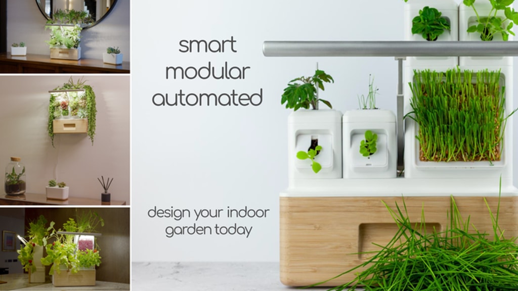 totam planter - Modular | Automated | Self-watering