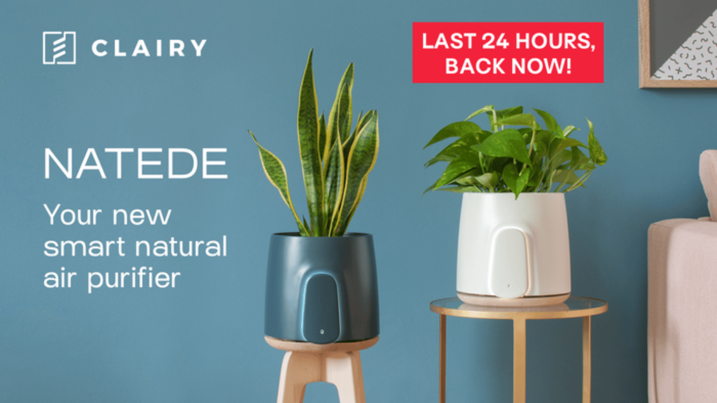 NATEDE: the Most Amazing Smart Natural Air Purifier