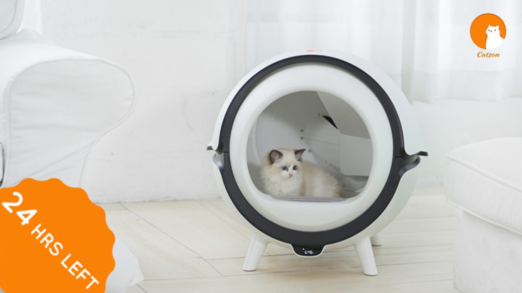 A Cat Auto Litter Box With Next-Generation Cleaning Ability