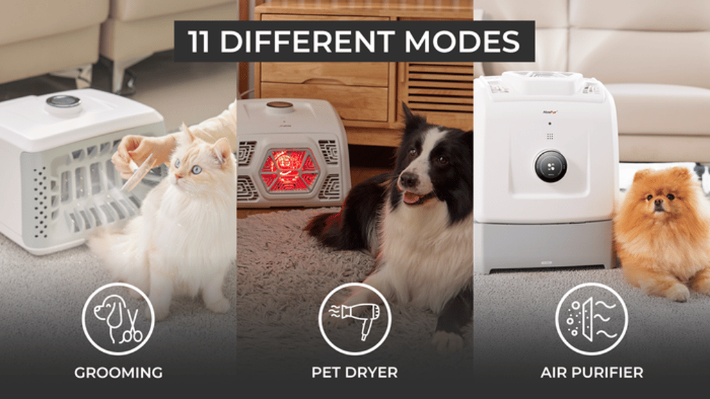 AbsFur - Free Yourself from the Torments of Fur