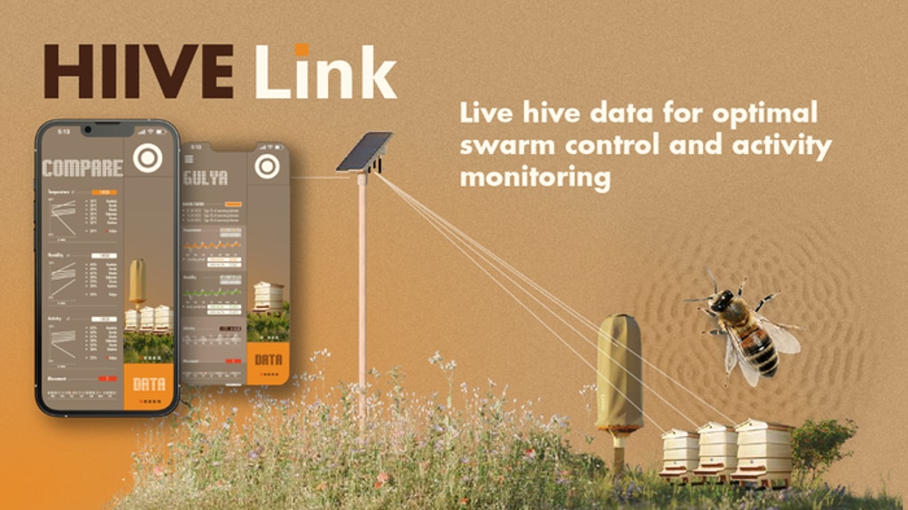 HIIVE Link: Real-Time Insights into the Life of Bees