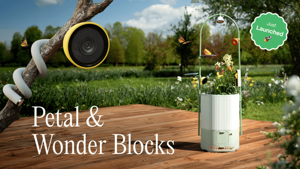 Petal & Wonder Blocks: Your Smart Nature Observatory