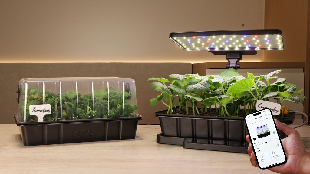 LetPot Seed Starter Kit SS-Pro: Year-Round Auto Seedling