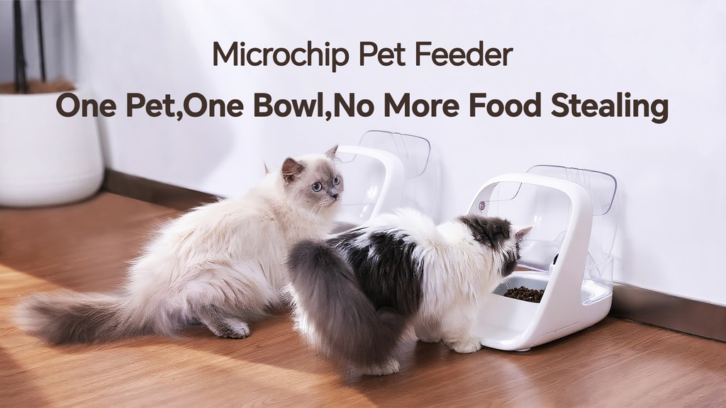 Microchip Pet Feeder: One Cat One Bowl No More Food Stealing