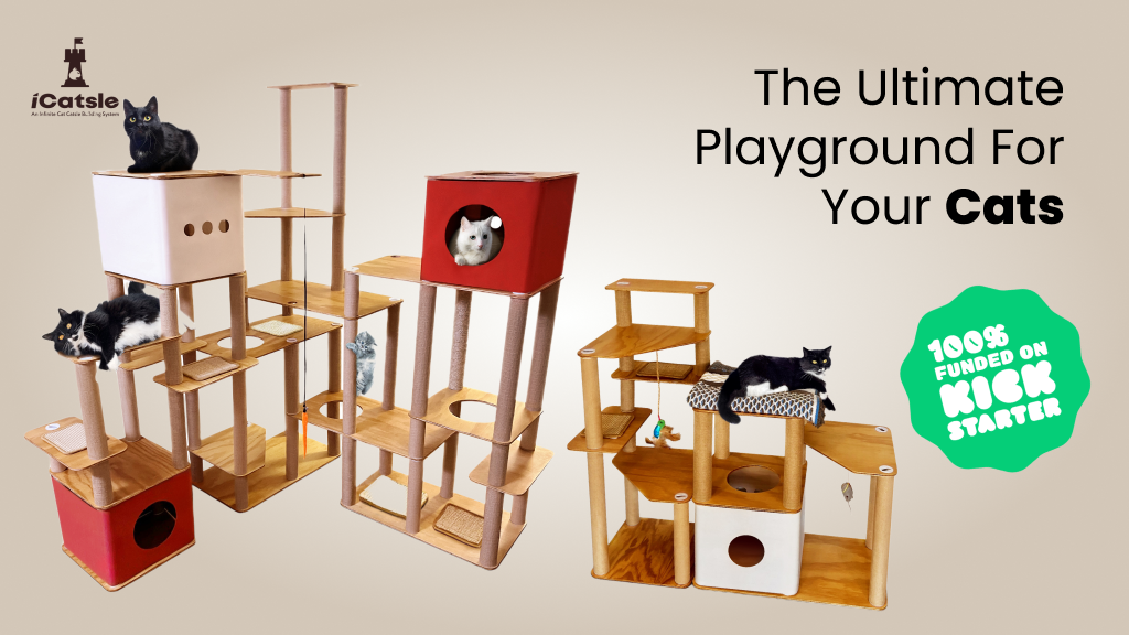 iCatsles: Modular Cat Tower For Your Cats!