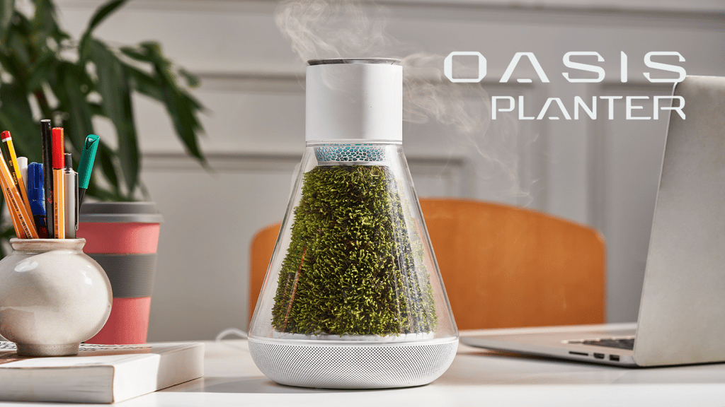Oasis Planter: Self-Sustaining Moss Air System